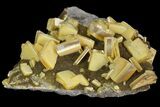 Sandwich Wulfenite Crystal Cluster - Ojuela Mine, Mexico #103494-1